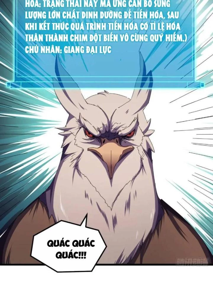 Kim Cương Bất Hoại Đại Trại Chủ Chapter 51 - Trang 3