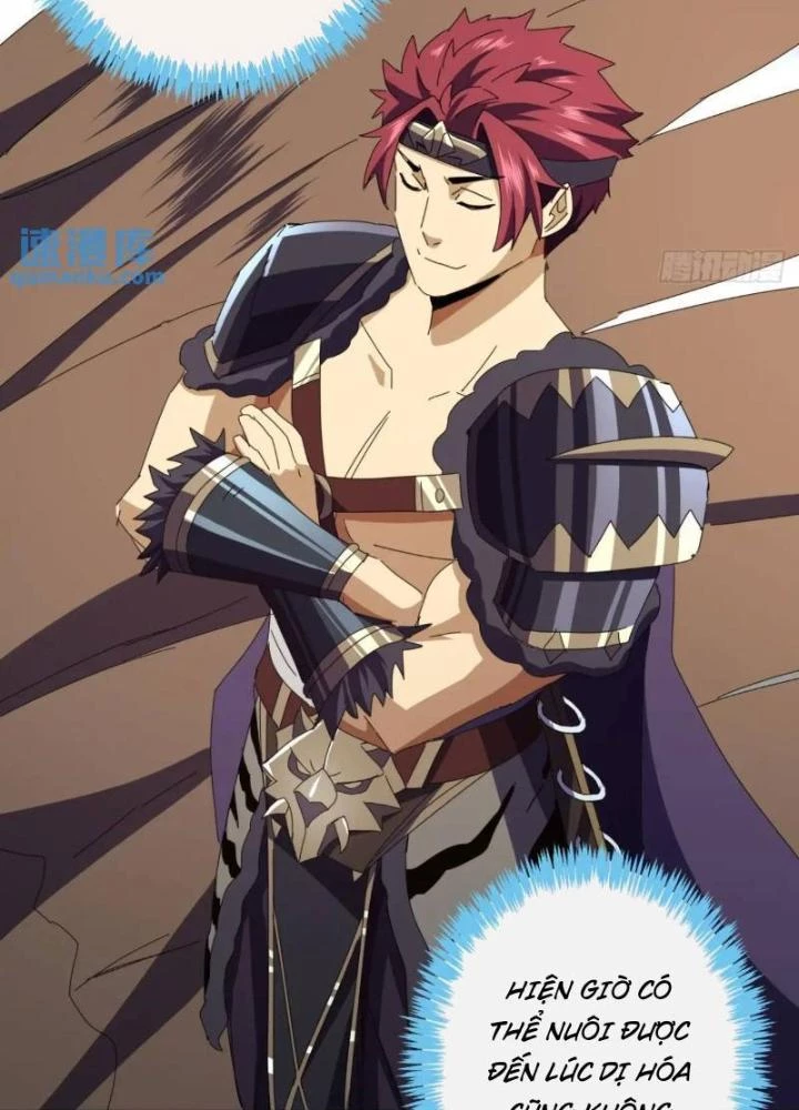 Kim Cương Bất Hoại Đại Trại Chủ Chapter 59 - Trang 3