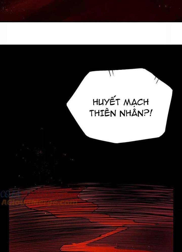 Thiên Tôn Trở Về Chapter 34 - Trang 2
