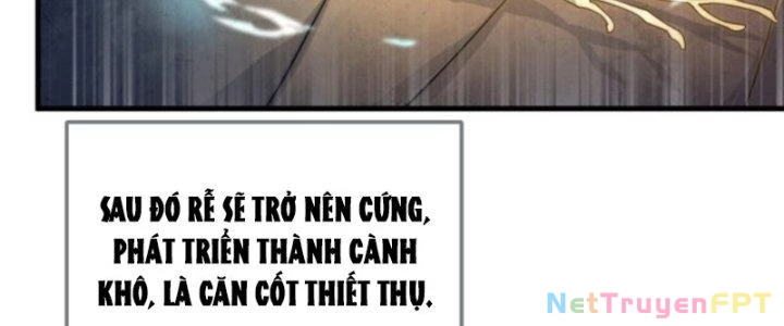 Võ Thánh Này Khảng Khái Quá Rồi Chapter 11 - Trang 3
