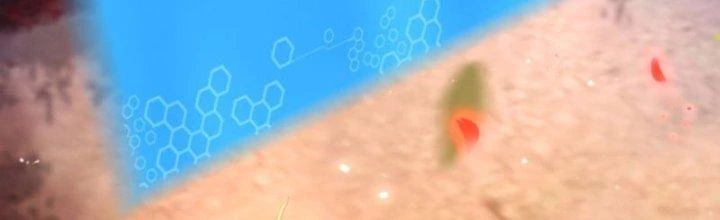 Võ Thánh Này Khảng Khái Quá Rồi Chapter 13 - Trang 3