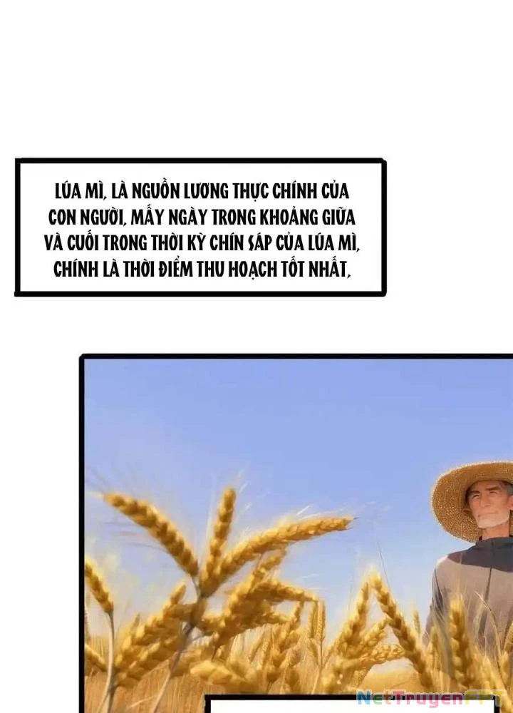 Đặc Nhiệm Siêu Cấp Thành Phố Chapter 329 - Trang 3