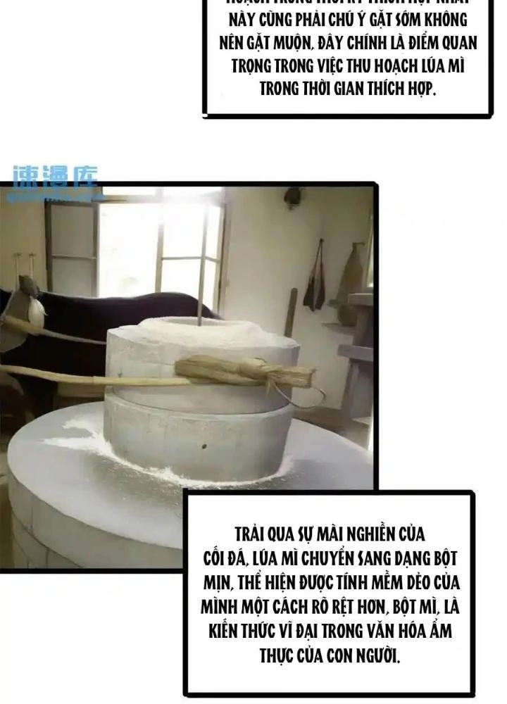 Đặc Nhiệm Siêu Cấp Thành Phố Chapter 329 - Trang 3