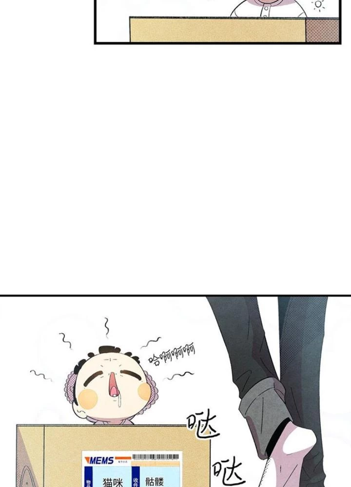 Skeleton Làm Bố Chapter 2 - Trang 2