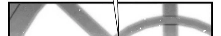 Skeleton Làm Bố Chapter 53 - Trang 2