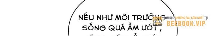 Skeleton Làm Bố Chapter 59 - Trang 2