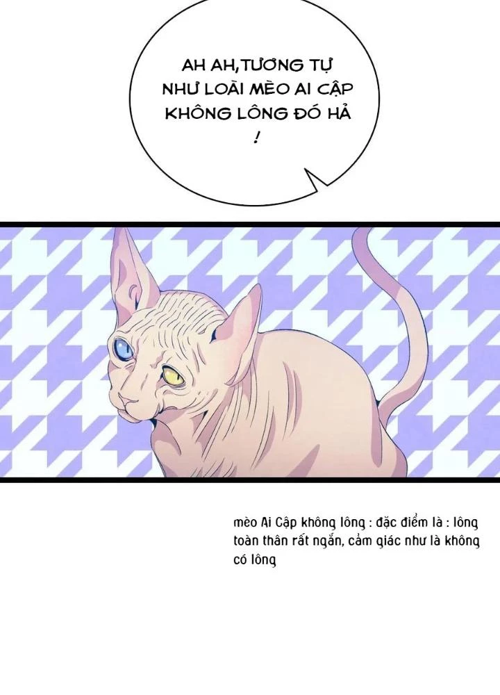 Skeleton Làm Bố Chapter 69 - Trang 2