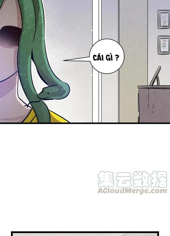 Skeleton Làm Bố Chapter 81 - Trang 2