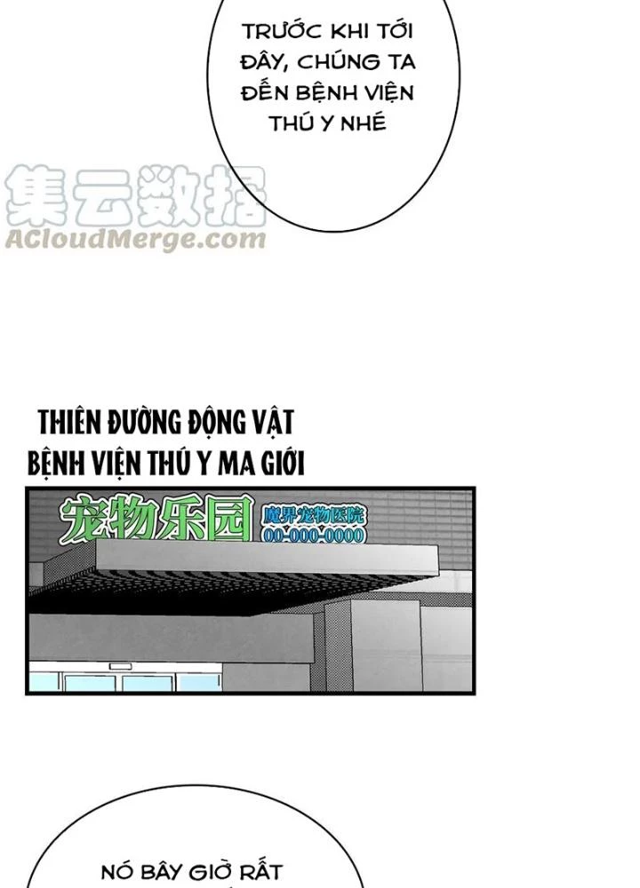 Skeleton Làm Bố Chapter 84 - Trang 2