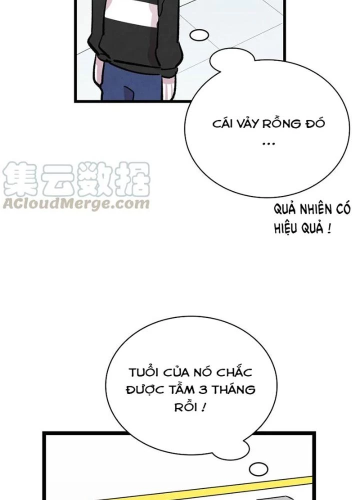 Skeleton Làm Bố Chapter 84 - Trang 2