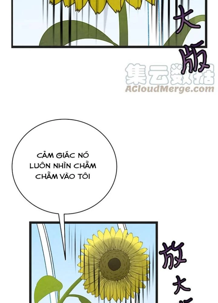 Skeleton Làm Bố Chapter 91 - Trang 2