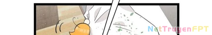 Skeleton Làm Bố Chapter 114 - Trang 2