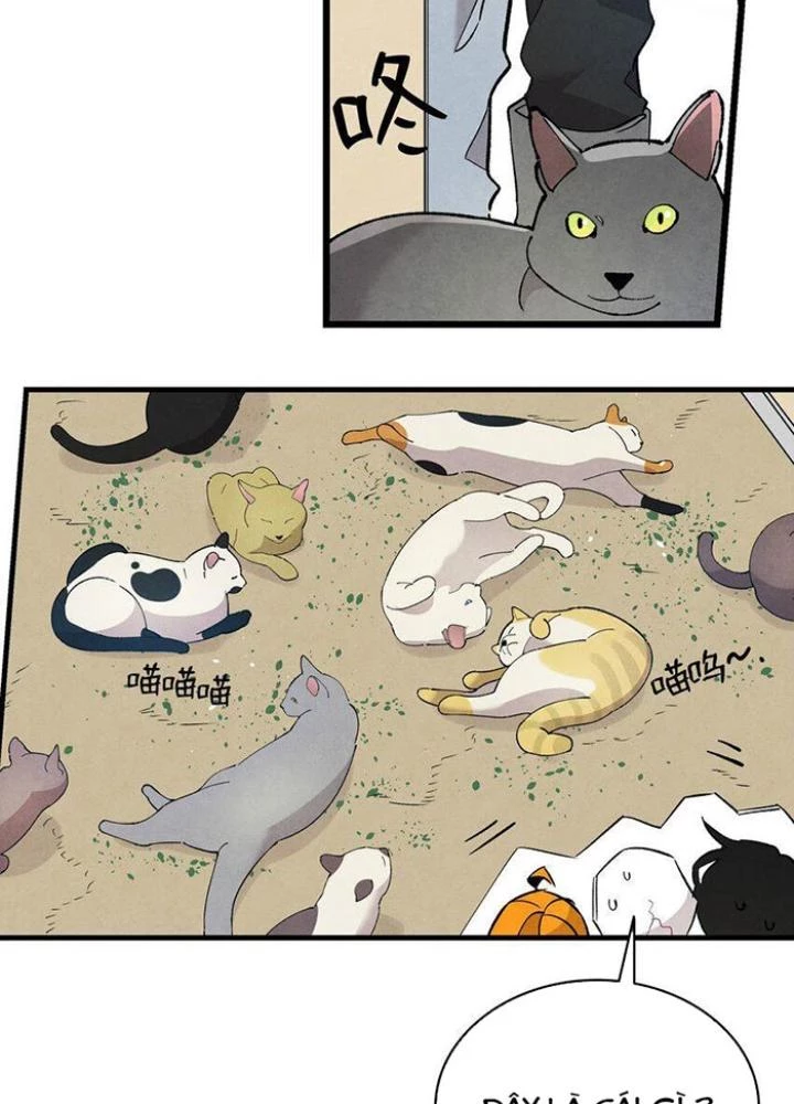 Skeleton Làm Bố Chapter 114 - Trang 2