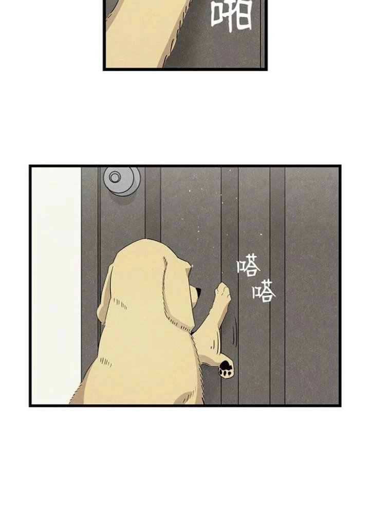 Skeleton Làm Bố Chapter 116 - Trang 2