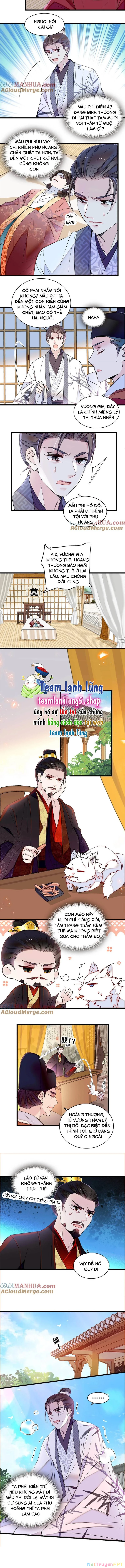 Tự Cẩm Chapter 351 - Trang 4