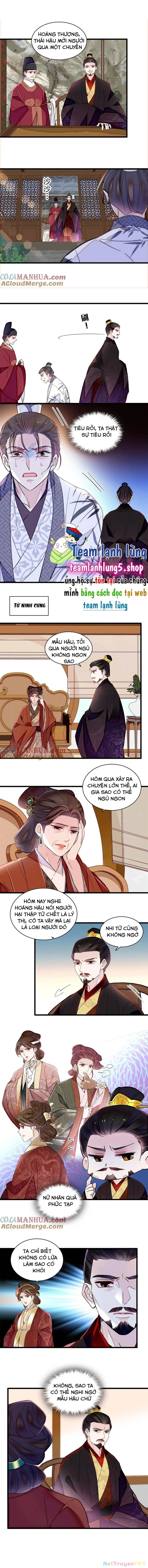 Tự Cẩm Chapter 351 - Trang 4