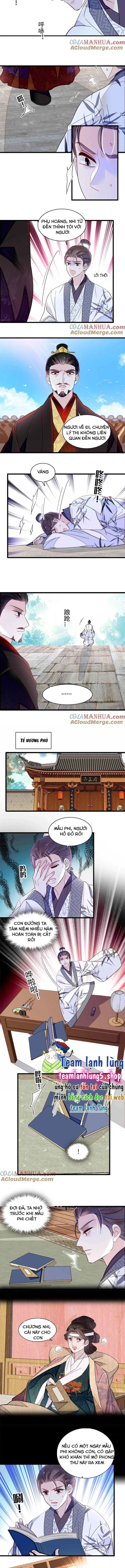 Tự Cẩm Chapter 352 - Trang 4