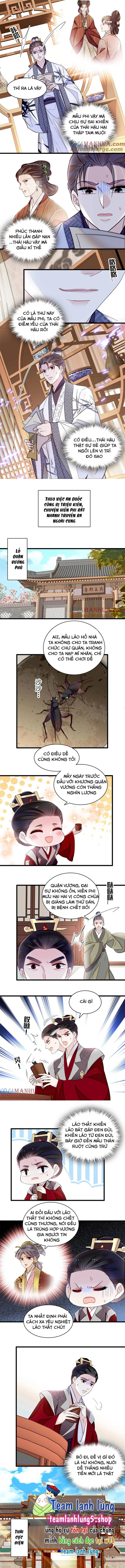 Tự Cẩm Chapter 352 - Trang 4