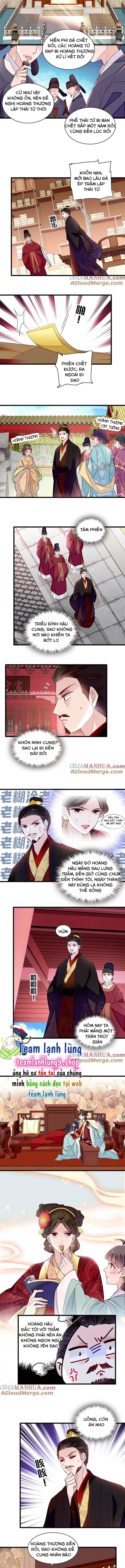Tự Cẩm Chapter 352 - Trang 4