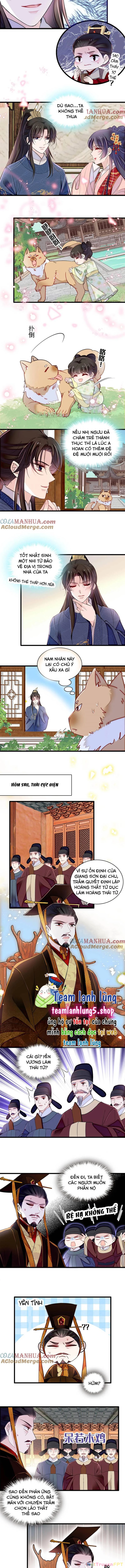 Tự Cẩm Chapter 353 - Trang 4