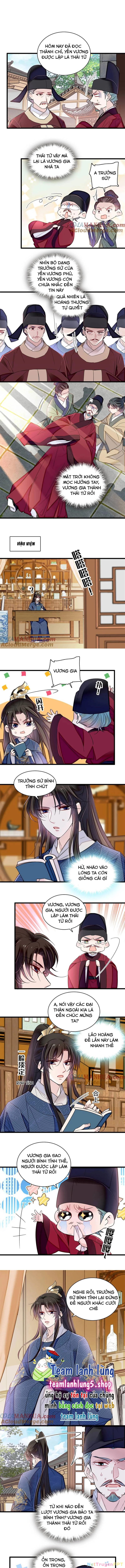 Tự Cẩm Chapter 354 - Trang 4