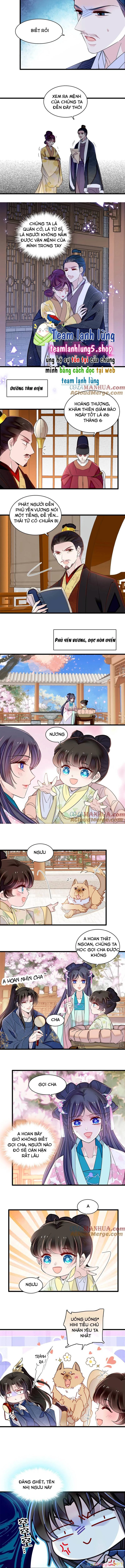 Tự Cẩm Chapter 355 - Trang 4