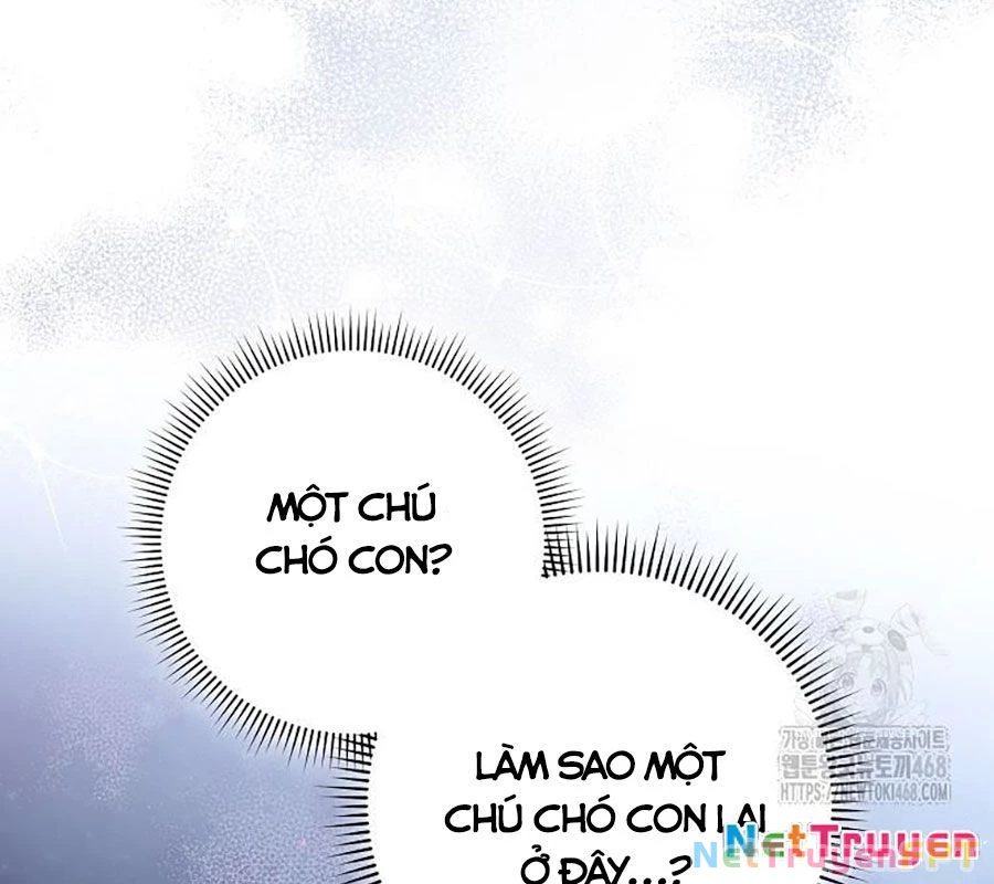 Diễn Viên Thiên Tài Mang Lại Bất Hạnh Chapter 39 - Trang 2