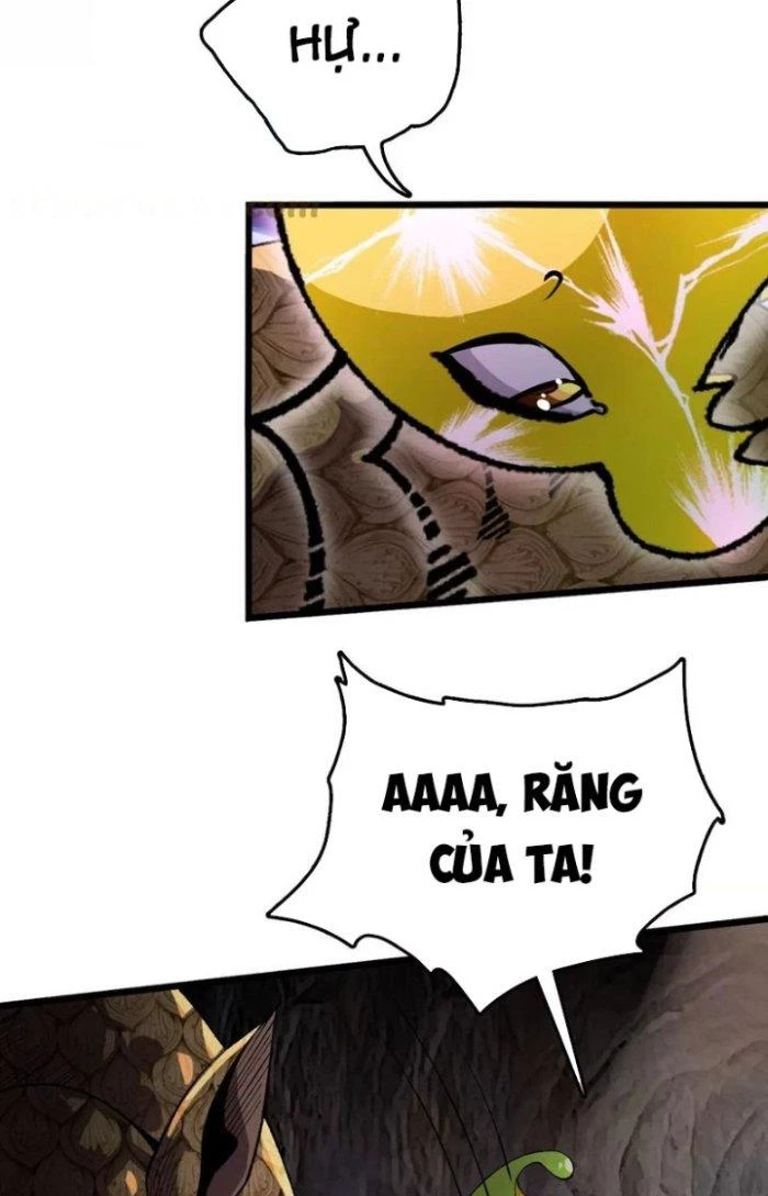 Tiến Hóa Đi, Caterpie Chapter 34 - Trang 3