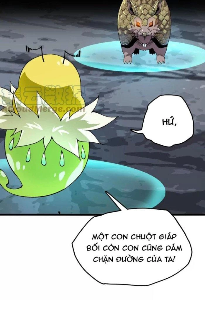 Tiến Hóa Đi, Caterpie Chapter 34 - Trang 3