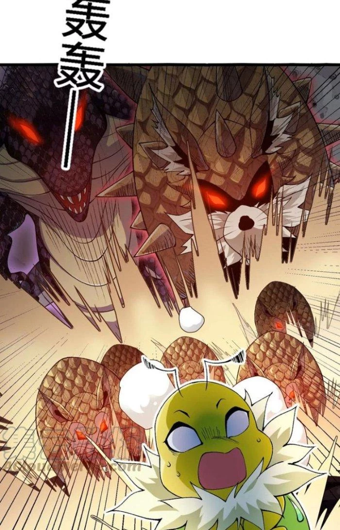 Tiến Hóa Đi, Caterpie Chapter 34 - Trang 3