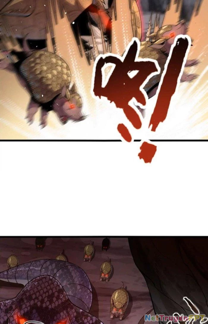 Tiến Hóa Đi, Caterpie Chapter 34 - Trang 3