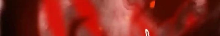 Tiến Hóa Đi, Caterpie Chapter 45 - Trang 3