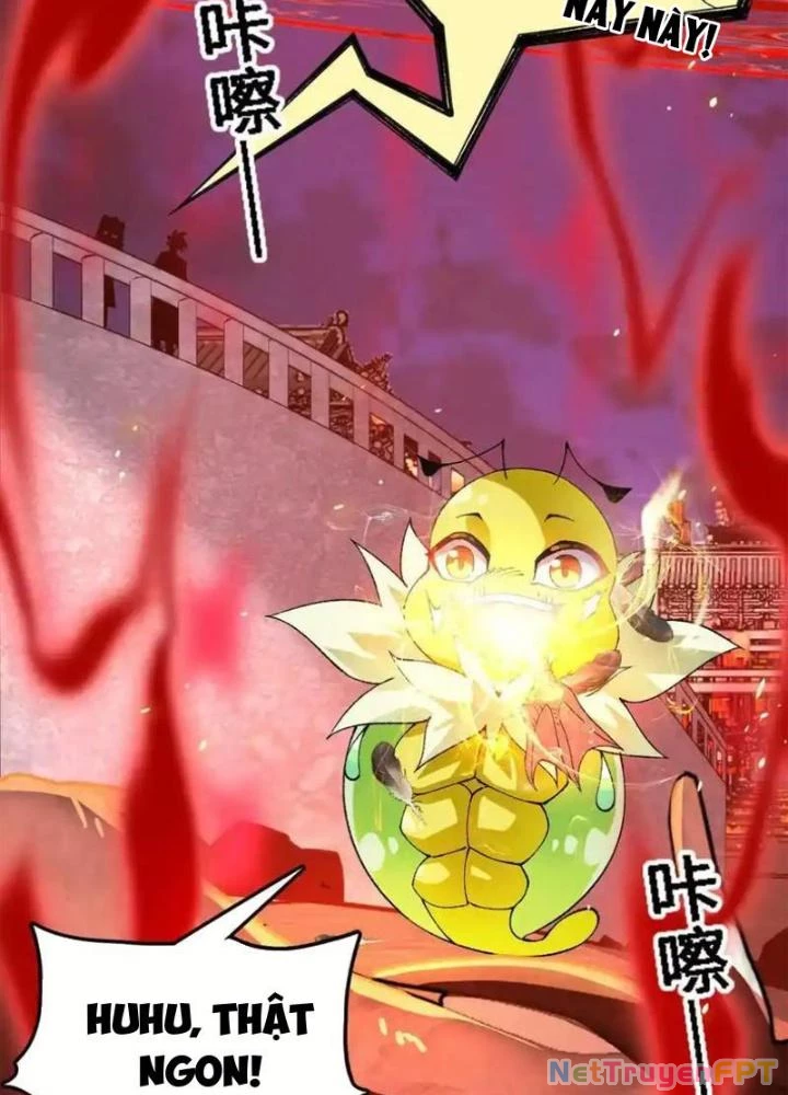 Tiến Hóa Đi, Caterpie Chapter 45 - Trang 3