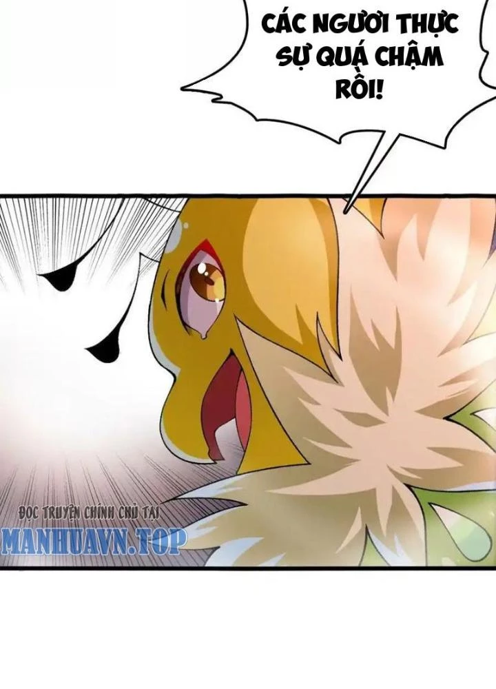 Tiến Hóa Đi, Caterpie Chapter 45 - Trang 3