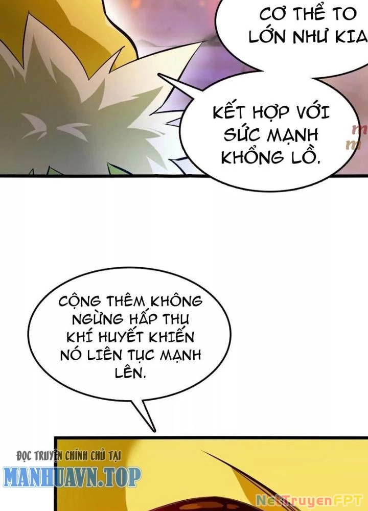 Tiến Hóa Đi, Caterpie Chapter 49 - Trang 3