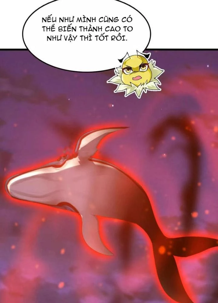 Tiến Hóa Đi, Caterpie Chapter 49 - Trang 3
