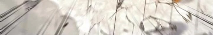 Tiến Hóa Đi, Caterpie Chapter 77 - Trang 3