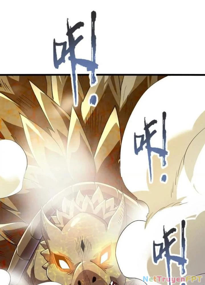 Tiến Hóa Đi, Caterpie Chapter 88 - Trang 3