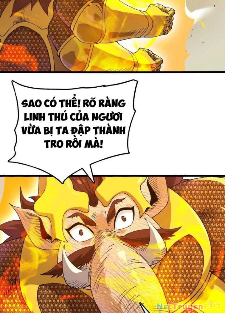 Tiến Hóa Đi, Caterpie Chapter 102 - Trang 3