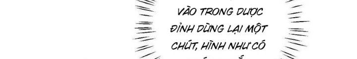 Mang Theo Các Tiên Tử Vô Địch Thiên Hạ Chapter 54 - Trang 3
