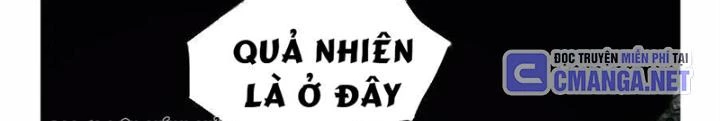 Tơ Nhện Chapter 20 - Trang 2