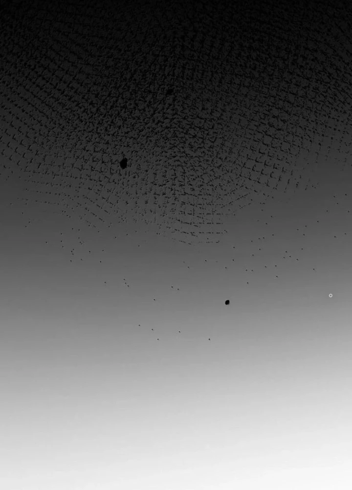 Trường Sinh Bất Lão, Ta Cưới Tà Thần Về Làm Vợ Chapter 74 - Trang 2