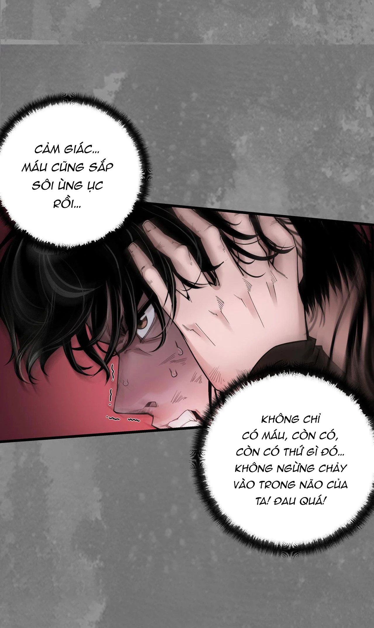 Tạng Phong Hành Chapter 244 - Next Chapter 245
