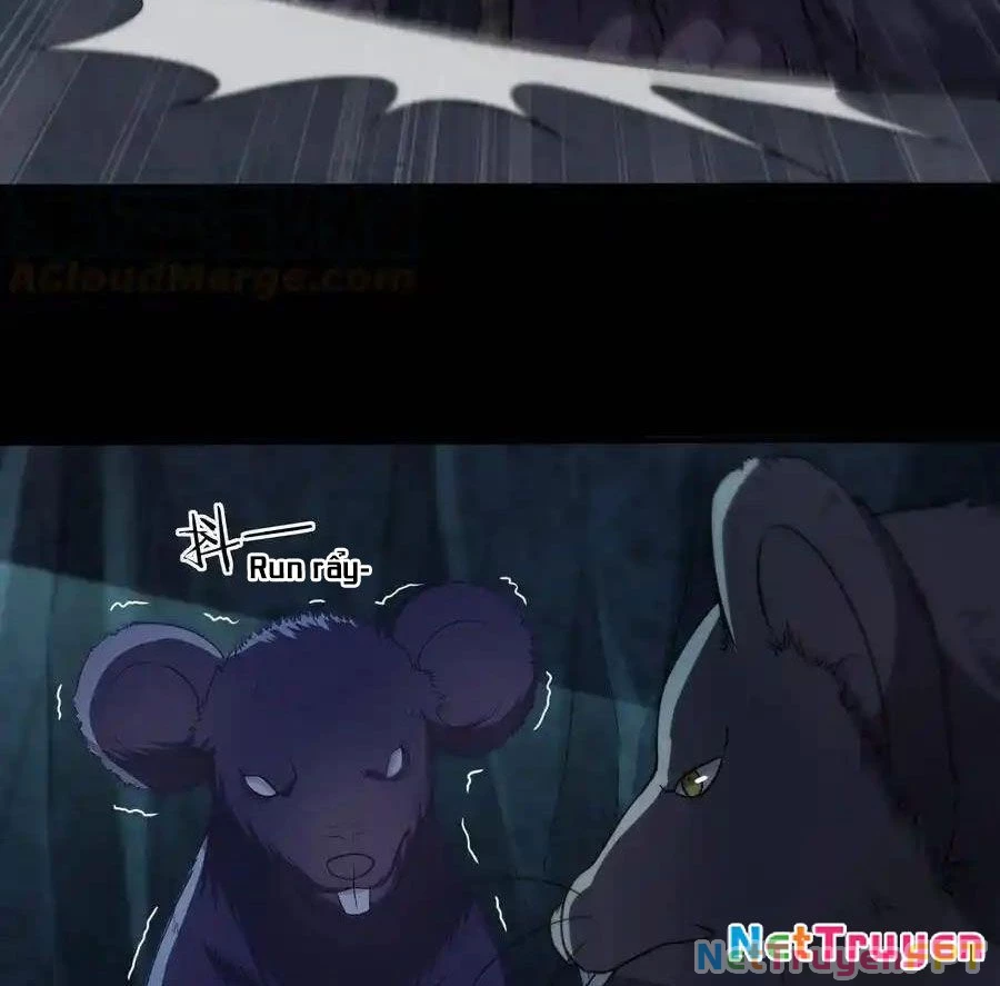 Thợ Cạo Hành Tà Chapter 33 - Next Chapter 34