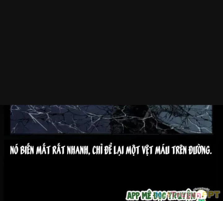 Tam Lão Gia Kinh Kỳ Thủ Trát Chapter 3 - Trang 2