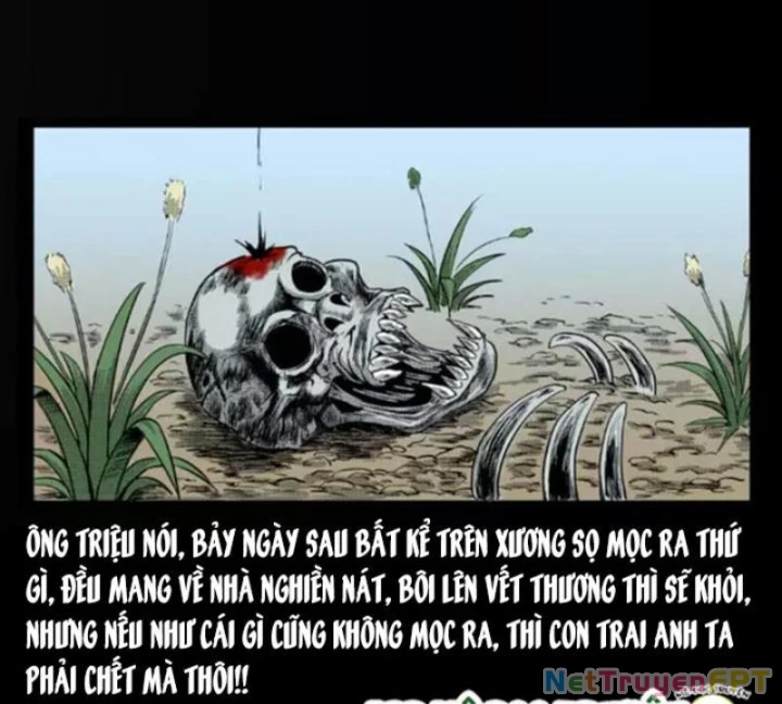 Tam Lão Gia Kinh Kỳ Thủ Trát Chapter 13 - Trang 2