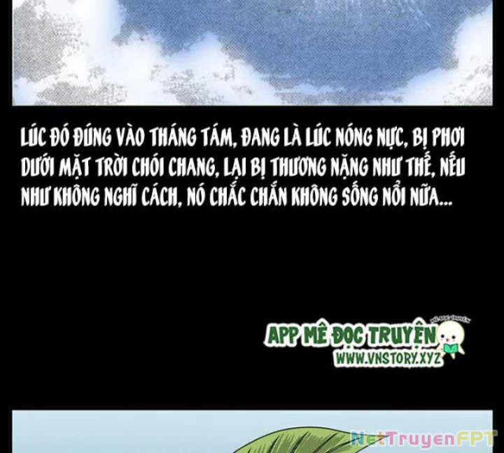 Tam Lão Gia Kinh Kỳ Thủ Trát Chapter 20 - Trang 2