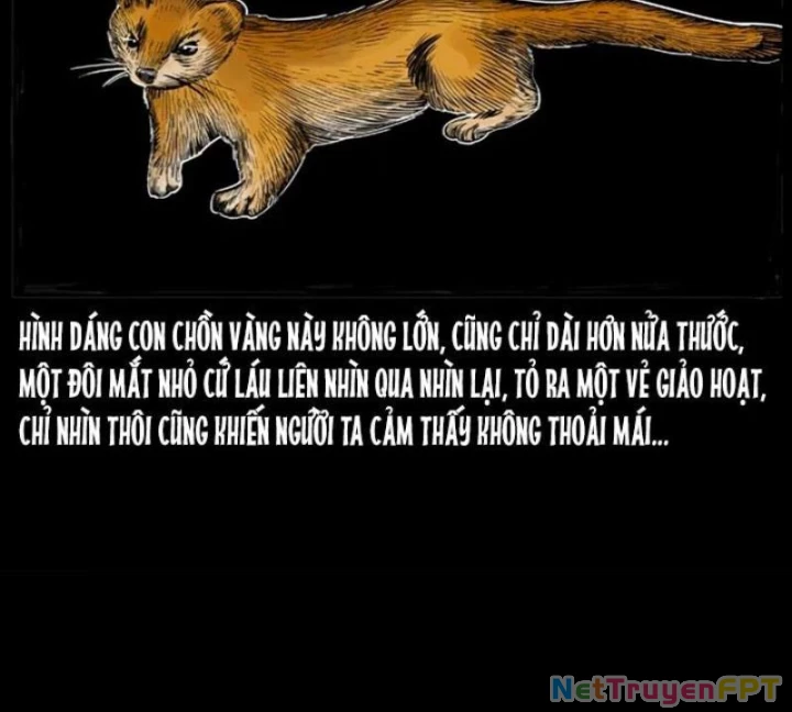 Tam Lão Gia Kinh Kỳ Thủ Trát Chapter 22 - Trang 2