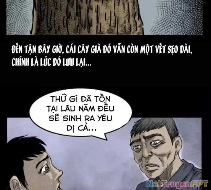 Tam Lão Gia Kinh Kỳ Thủ Trát Chapter 29 - Trang 2