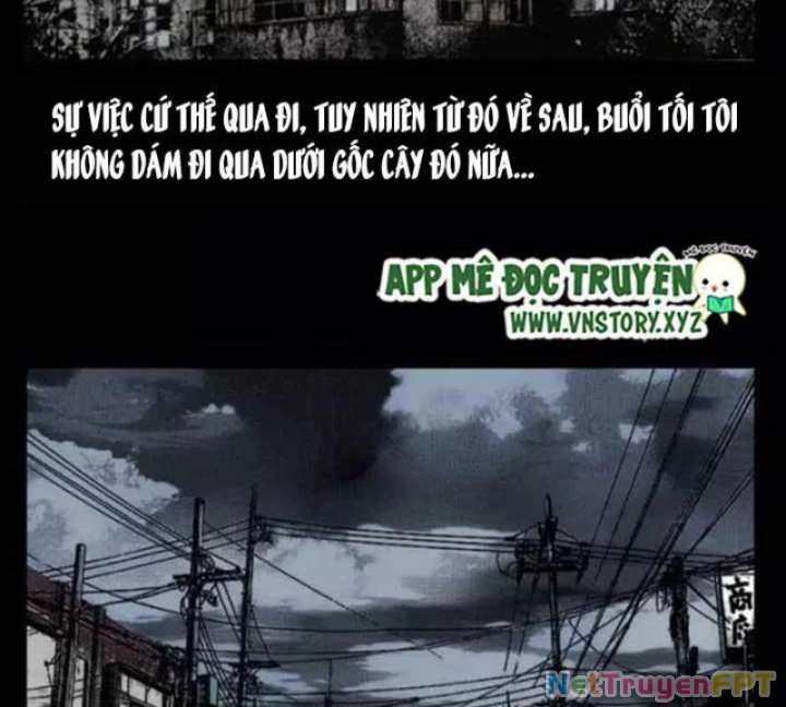 Tam Lão Gia Kinh Kỳ Thủ Trát Chapter 29 - Trang 2